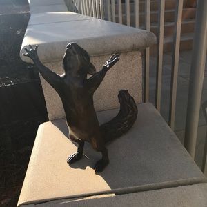 Meet your Posher, Iris